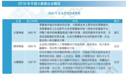 2018中國大數(shù)據(jù)企業(yè)報告出爐，天夏科技榮登IT企業(yè)大數(shù)據(jù)布局榜信息系統(tǒng)集成服務(wù)領(lǐng)域